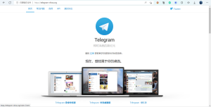 Telegram怎么隐藏在线状态？
